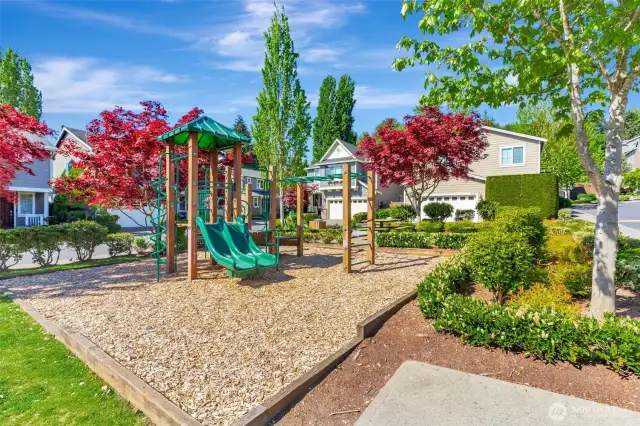 Community park  two houses away