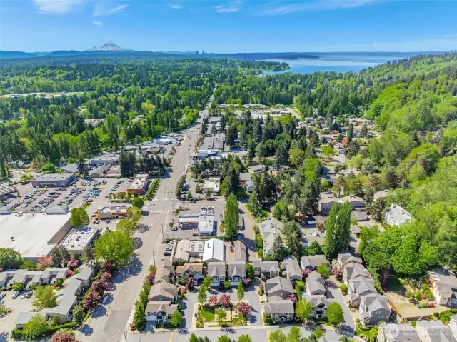 View of the community, Safeway/shops/restaurants and Lk Washington