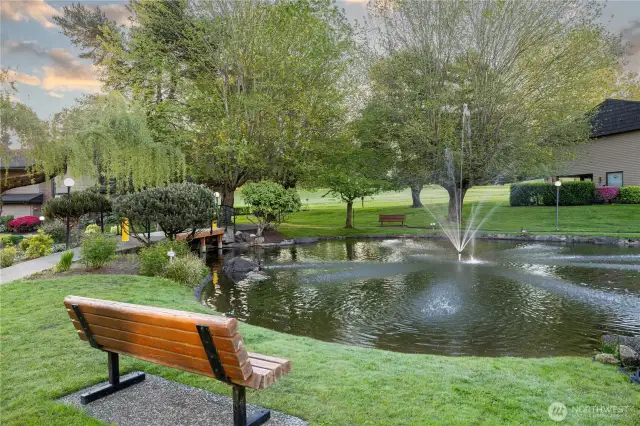 Duck Pond