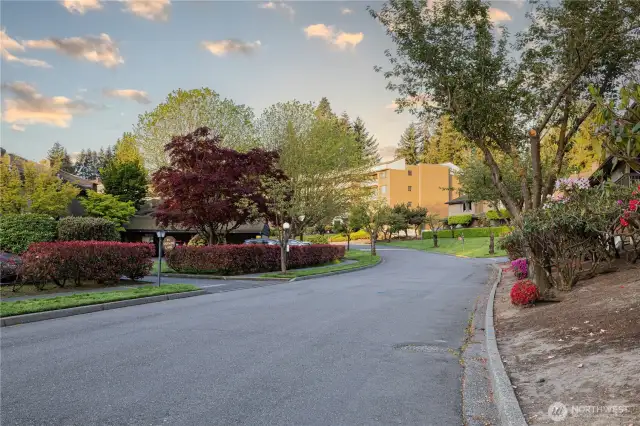 Glen Acres Dr S
