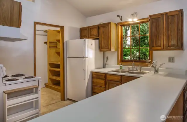 Kitchen has a lot of counter space, forest view from window.