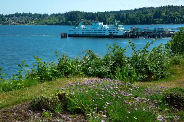 Passenger & car ferries travel to Edmonds.