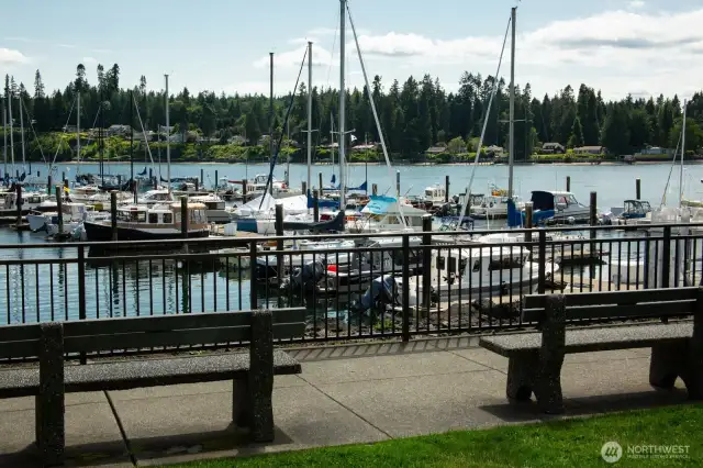 Kingston Marina