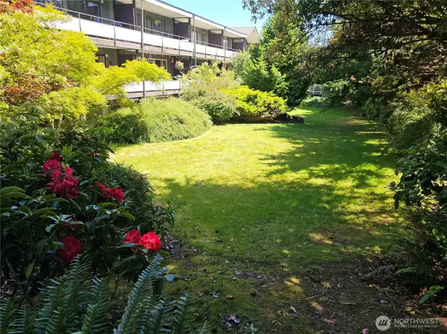 Enjoy this beautiful, outdoor space, filled with greenery and flowers!