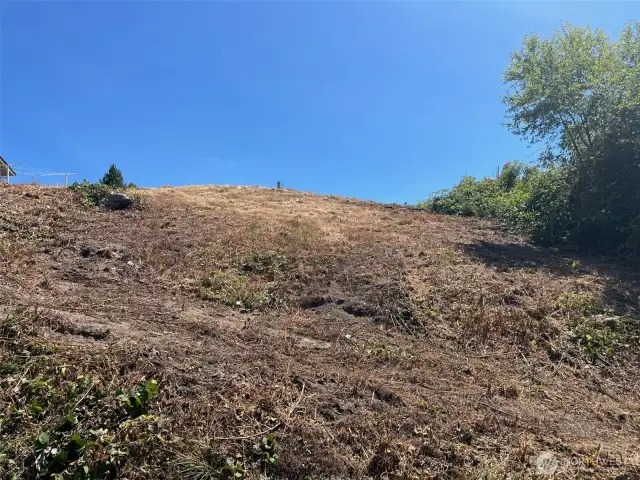 East view of terrain