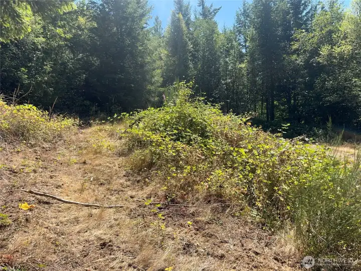 Lower building site with room for RV