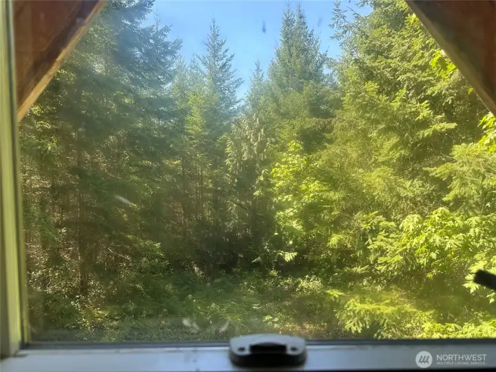 View from upper level looking West toward Quilcene Bay.