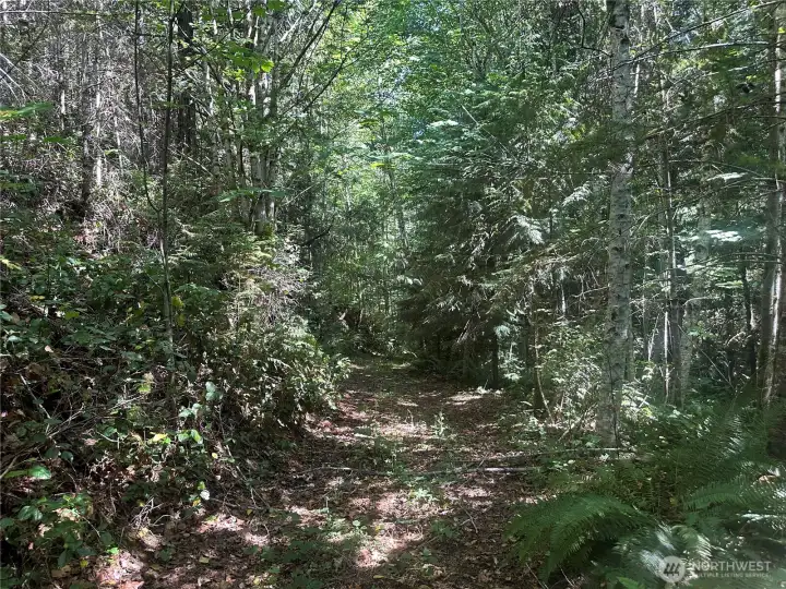 The  back 10 acres has limited access.  Potential to work with your local forester and the county assessor to convert the back 10 acres into residential timber status for future property tax savings! Property adjoins a large commerial timber property.