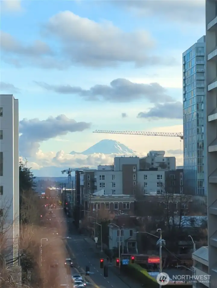 View from Living Rm Window