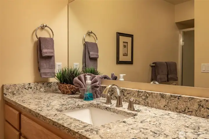 Close-up of the guest bathroom vanity showcasing granite counters, modern fixtures, and ample storage.