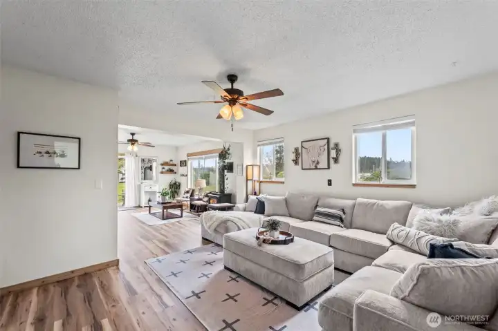 Plenty of natural daylight!