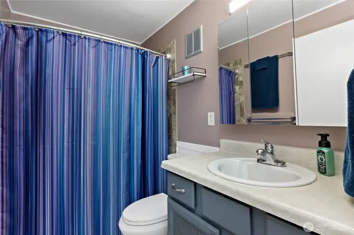 Modern Finishes & Stylish Vanity in Main-Floor Bath