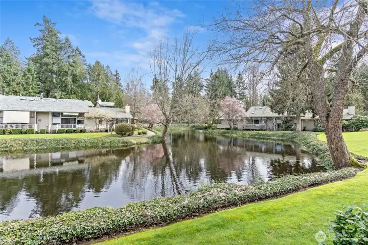 Experience the Quiet Beauty of Coffee Creek Living