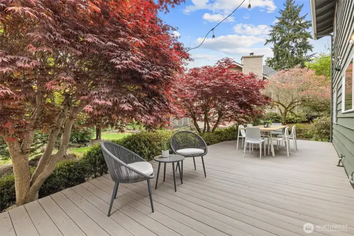 The perfect spot for a morning coffee.