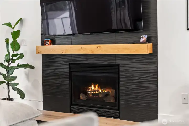 Gas fireplace