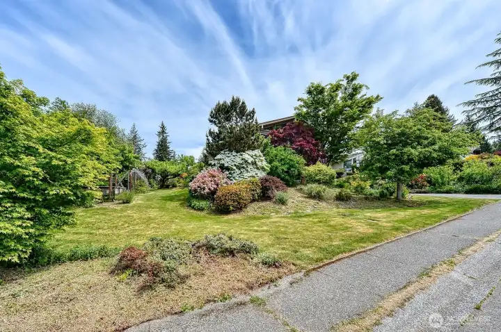 Front Yard