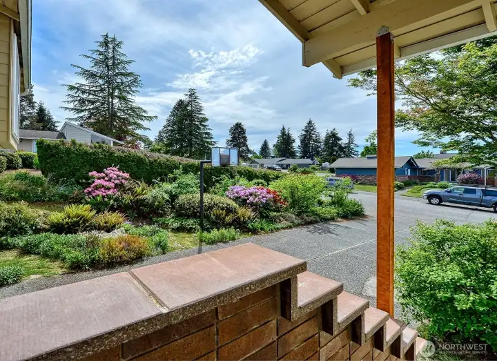 View from Front Door