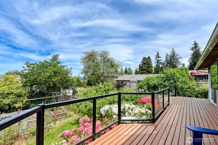 Deck View