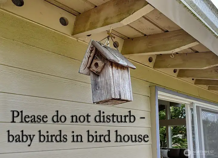 Resident Birds