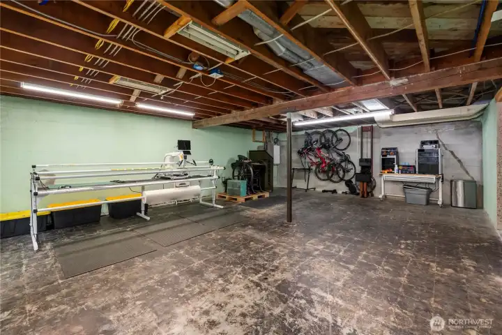 Storage of Unfinished Basement