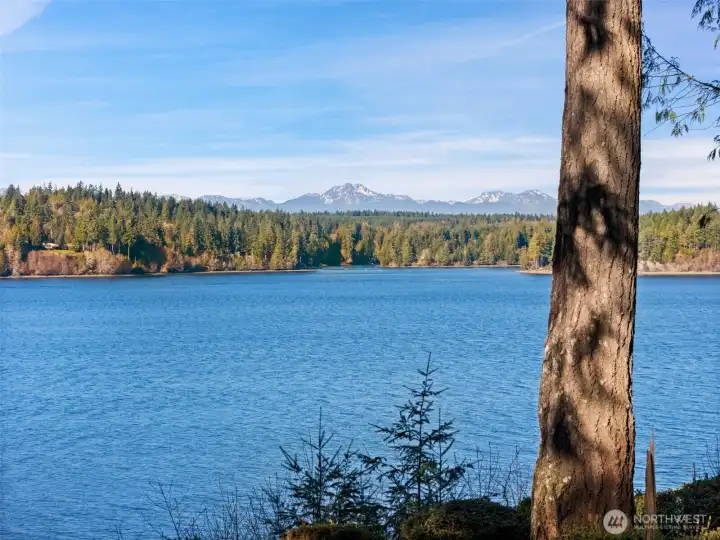 Incredible Olympic Mountain Views from this property! Incredible Olympic Mountain Views from this property!