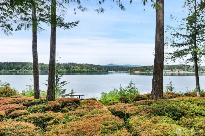 View from the Deck. Just beyond the shrubs is a walking trail that goes around the perimeter of the Harstene Pointe community! View from the Deck. Just beyond the shrubs is a walking trail that goes around the perimeter of the Harstene Pointe community!