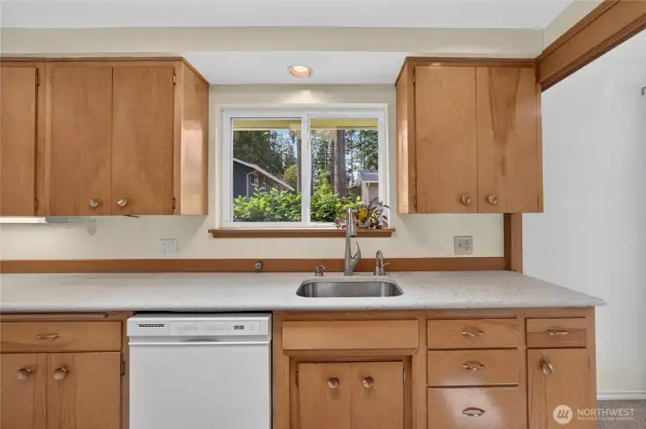 Granite counters and deep sink with in-line sprayer Granite counters and deep sink with in-line sprayer
