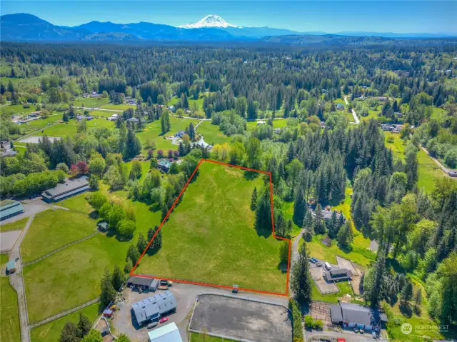 Showing Mount Rainier's proximaty to property