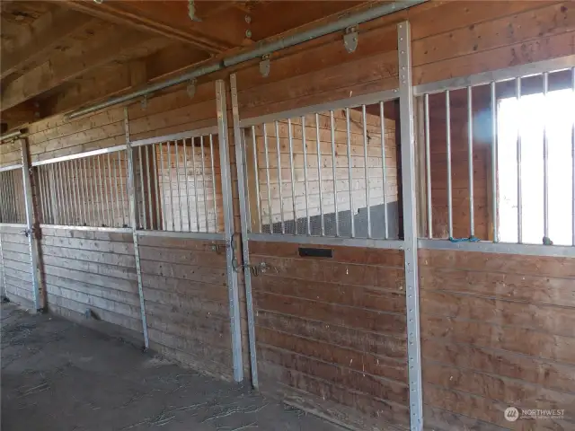 12 x 12 stalls