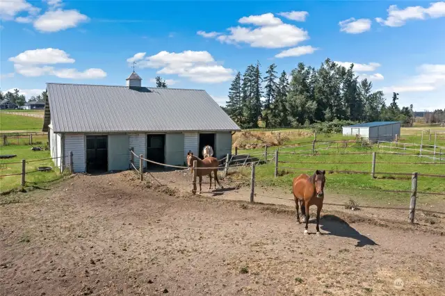 Front of barn 3 Stalls. Horses not included!