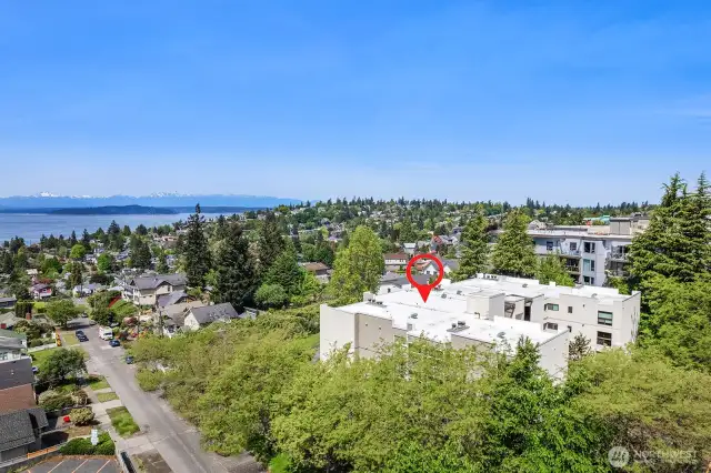 This location is just a stone's throw from lots of amenities. Grocery, coffee, several restaurants, wine bar, bakery, & the Sunday Farmer's market.