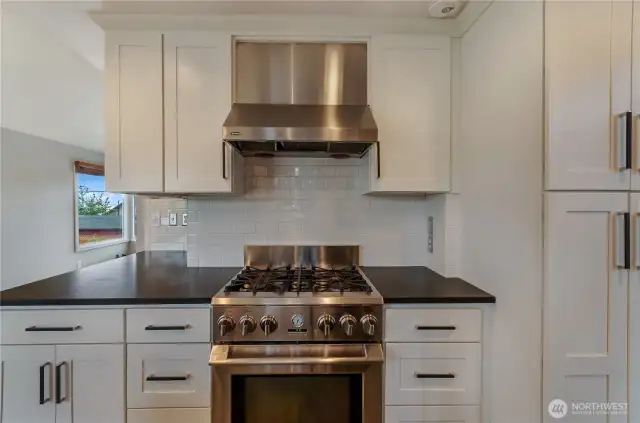 High-end stand alone range with stainless hood