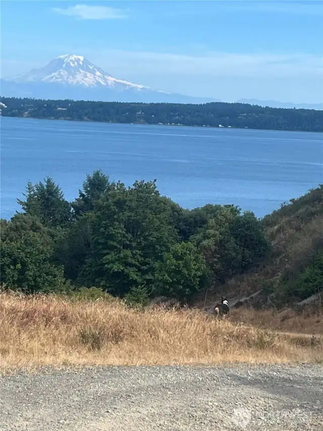 Trail view from the neighboring property.