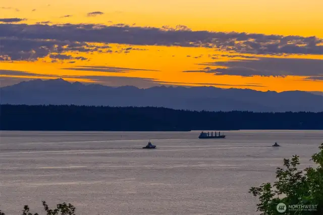 Tugboats and world traveling vessels: a daily show.
