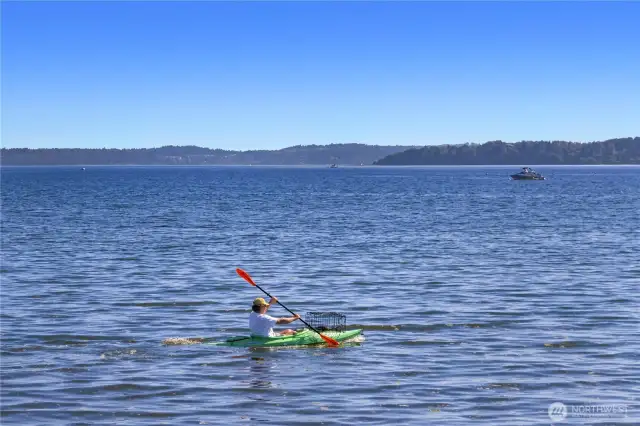 Kayak and drop off your crab pots for a later day harvest.