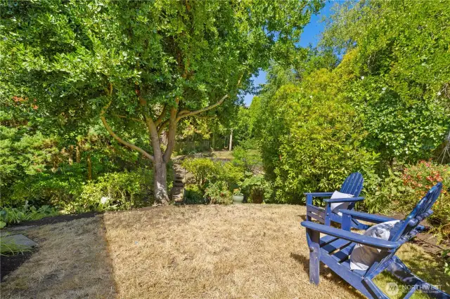 Tons of tree coverage and garden space