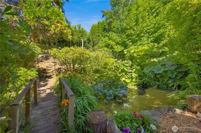 Bridge from the path, over the ponds to another level of yard