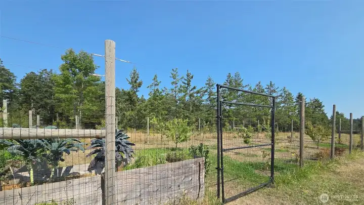 Fenced Garden Area