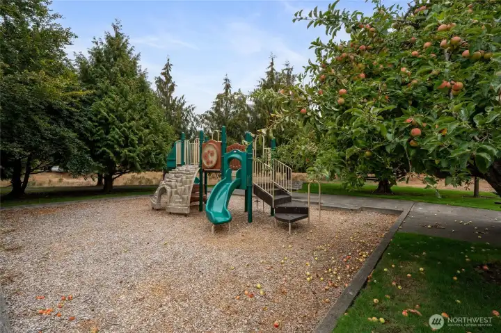 Park in Community