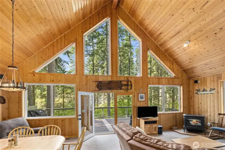 Imagine the snow is falling and you are cozied up near the warmth of the pellet stove...