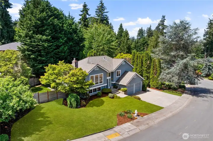 Drone view showcasing the home’s classic split-level roofline, attached two-car garage, lush manicured front lawn, and mature privacy trees wrapping the perimeter, a well-positioned corner-adjacent lot in a quiet Kenmore neighborhood.