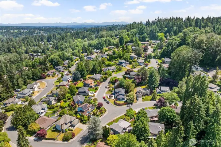 Wide aerial capturing the well-established Kenmore neighborhood canopy with the Cascade Mountain Range visible on the horizon, a stunning backdrop that underscores the location’s Pacific Northwest appeal.