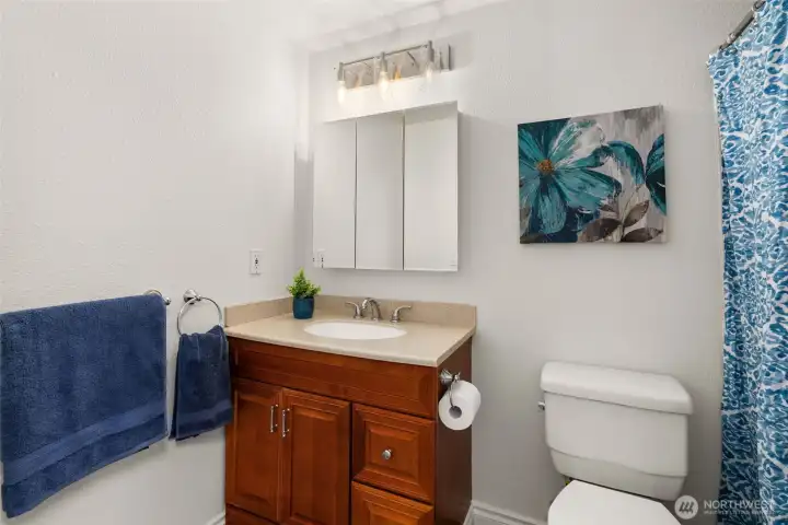 Main full bathroom