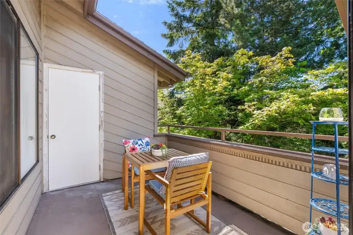 This back deck is a private oasis! You will love it! And it also includes a storage closet.