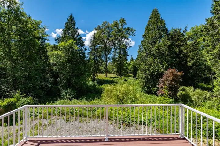 View from the deck