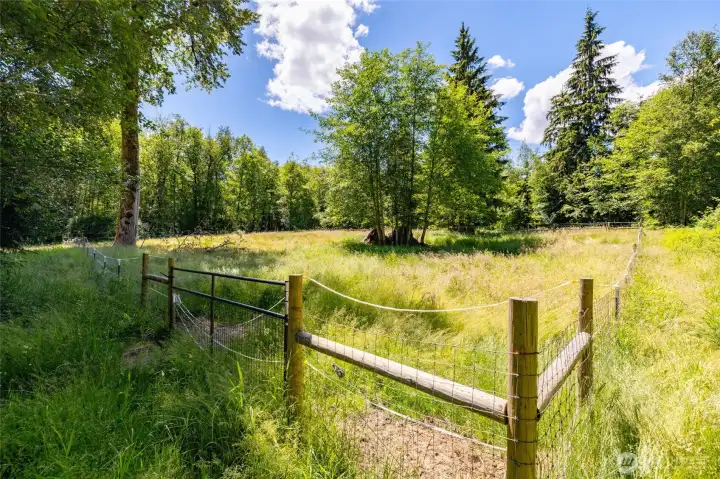 Pasture