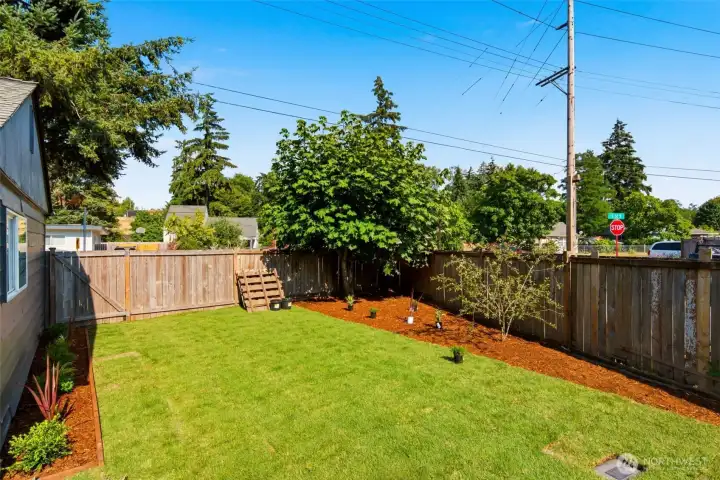 Brand new sod Brand new sod