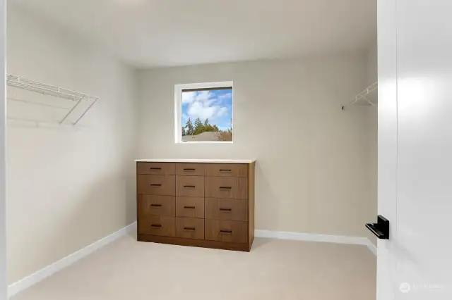 Primary walk-in closet with built in bureau.