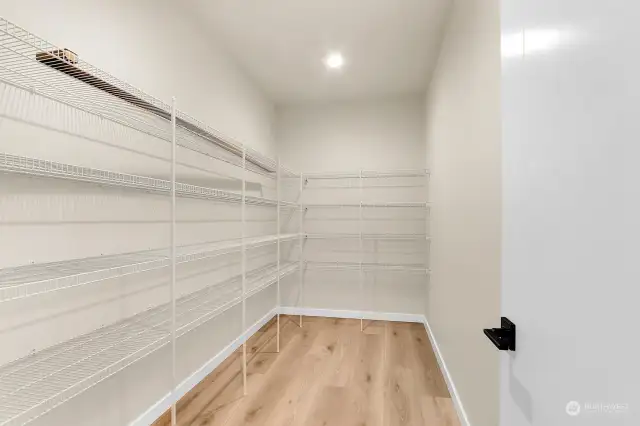 And speaking of storage, just look at all this room in the walk-in pantry!