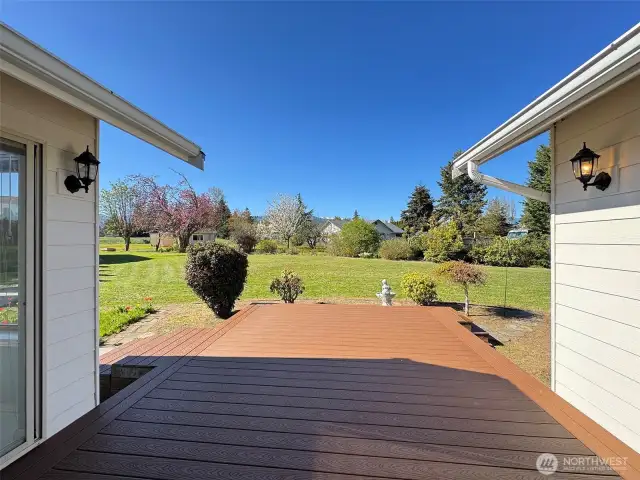 New Trex Deck
